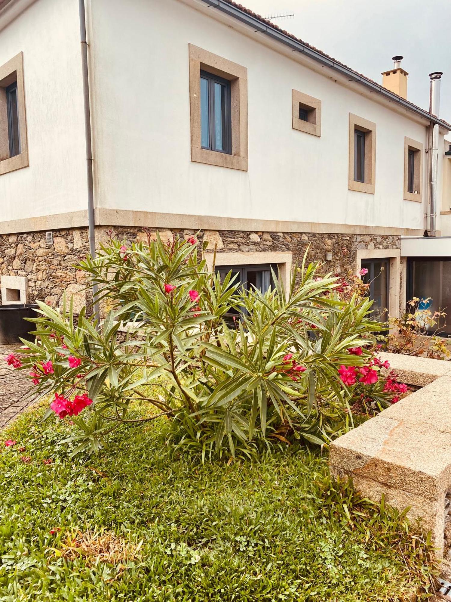 Serra de Arga Mountain House Montaria Exterior foto